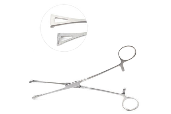 Duval Lung Forceps