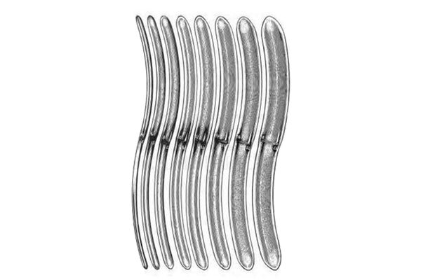 Hegar Uterine Dilators Set with Khaki Roll - 8 Pcs