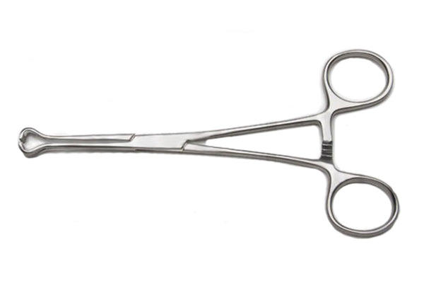 Babcock Forceps - Ameri Surgical Instruments Inc.